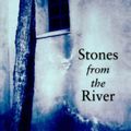 Cover Art for 9780684858098, Stones from the River by Ursula Hegi