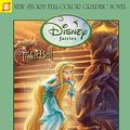 Cover Art for 9781597071994, Disney Fairies Graphic Novel: Rani's Laundry Day Danger by Stefan Petrucha