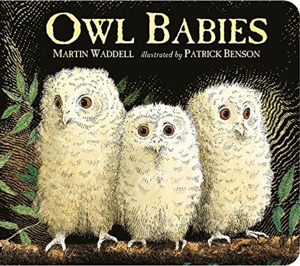 Cover Art for 9781406364477, Owl Babies by Martin Waddell