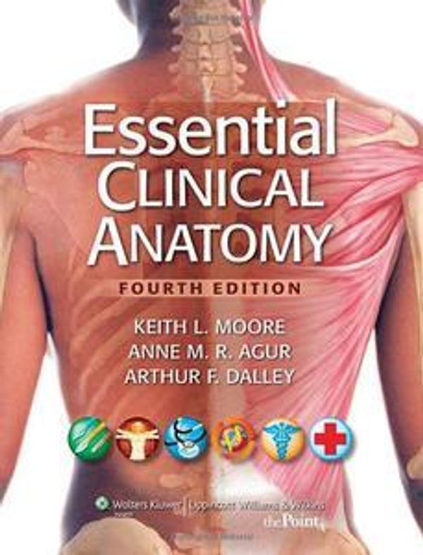 Cover Art for 9781451162240, Essential Clinical Anatomy by Keith L. Moore