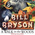 Cover Art for 9780552145930, A Walk in the Woods by Bill Bryson
