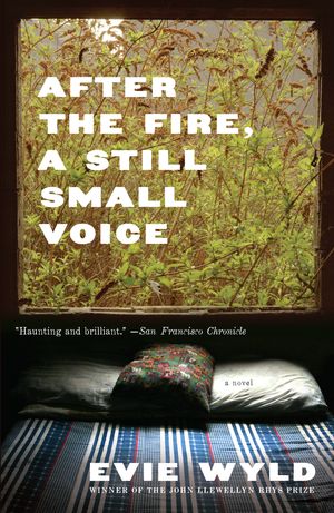 Cover Art for 9780307473387, After the Fire, a Still Small Voice by Evie Wyld