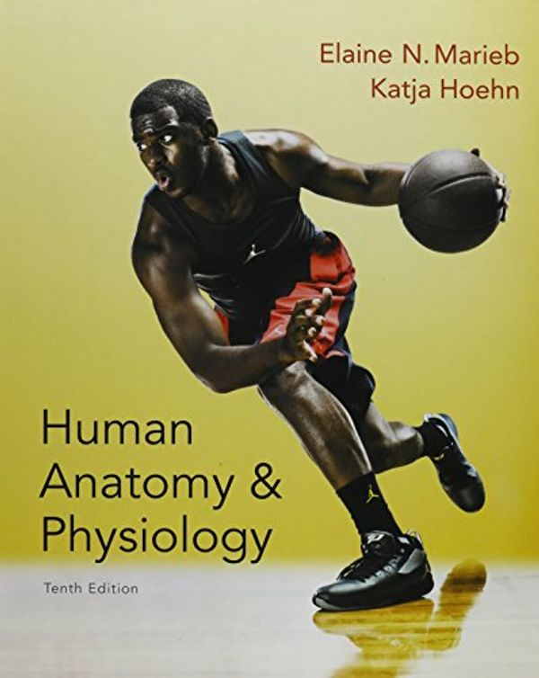 Cover Art for 9780134191133, Human Anatomy & Physiology and Modified MasteringA&P with Pearson eText & ValuePack Access Card (10th Edition) by Elaine N. Marieb, Katja N. Hoehn