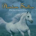 Cover Art for 9780061888533, Phantom Stallion #11: Untamed by Terri Farley