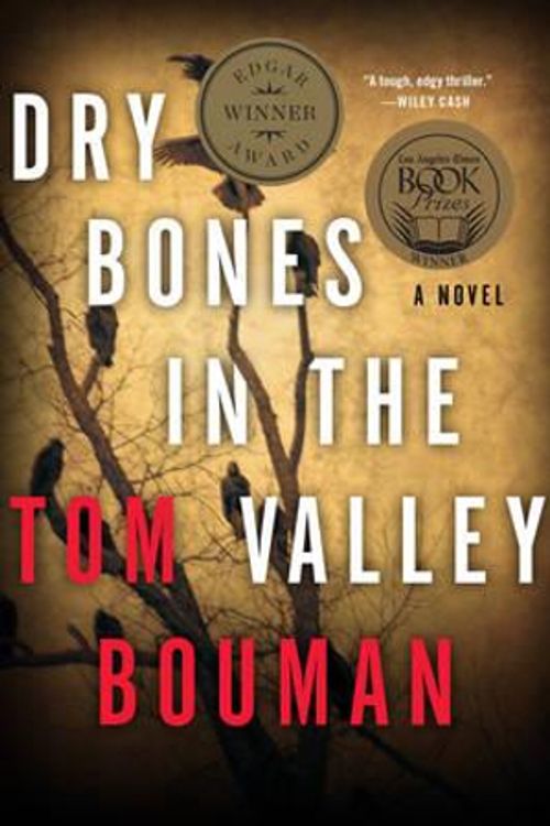 Cover Art for 9780393350784, Dry Bones in the Valley - a Novel by Tom Bouman