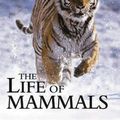 Cover Art for 9780691113241, The Life of Mammals by David Attenborough