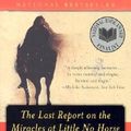 Cover Art for 9780060931223, The Last Report on the Miracles at Little No Horse A Novel by Louise Erdrich