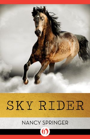 Cover Art for 9781497688889, Sky Rider by Nancy Springer