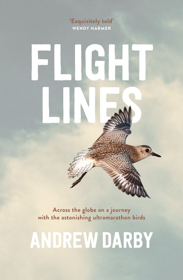 Cover Art for 9781760296551, Flight Lines by Andrew Darby