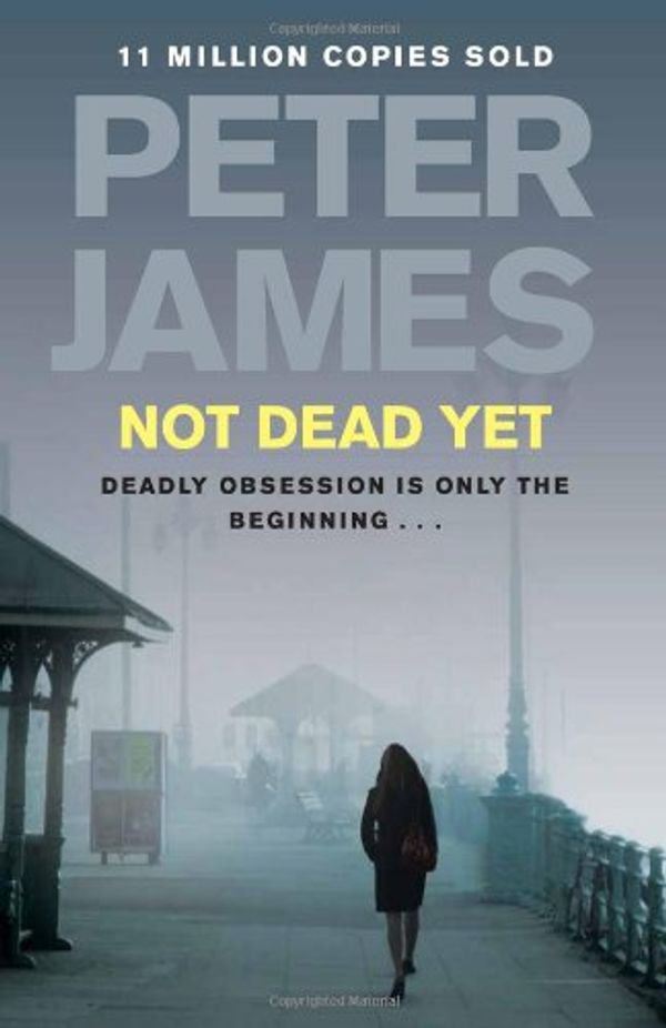 Cover Art for 9781250029669, Not Dead Yet by Peter James