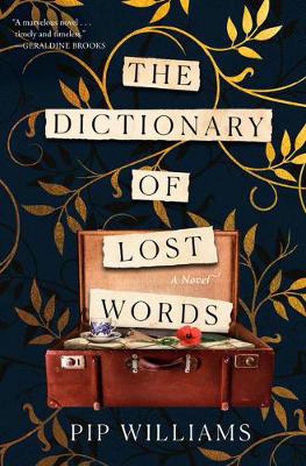 Cover Art for 9780593160190, The Dictionary of Lost Words: A Novel by Pip Williams
