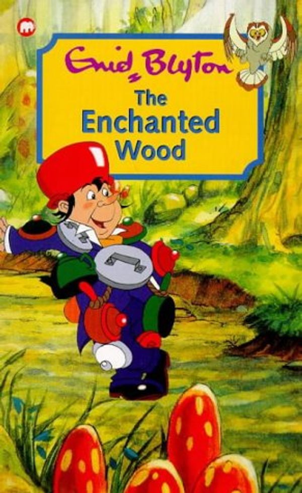 Cover Art for 9780749732097, The Enchanted Wood by Enid Blyton