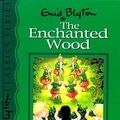 Cover Art for 9781741216639, The Enchanted Wood by Enid Blyton
