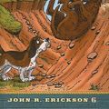 Cover Art for 9780780708518, Let Sleeping Dogs Lie by John R. Erickson