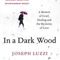 Cover Art for B00SS41R5M, In a Dark Wood: What Dante Taught Me About Grief, Healing, and the Mysteries of Love by Joseph Luzzi