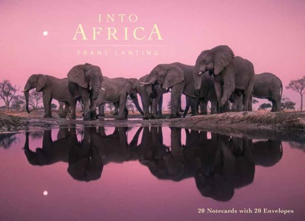 Cover Art for 9781608878864, Into AfricaBlank Boxed Notecards by Frans Lanting