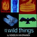 Cover Art for 9780375935251, Sammy Keyes and the Wild Things by Van Draanen, Wendelin