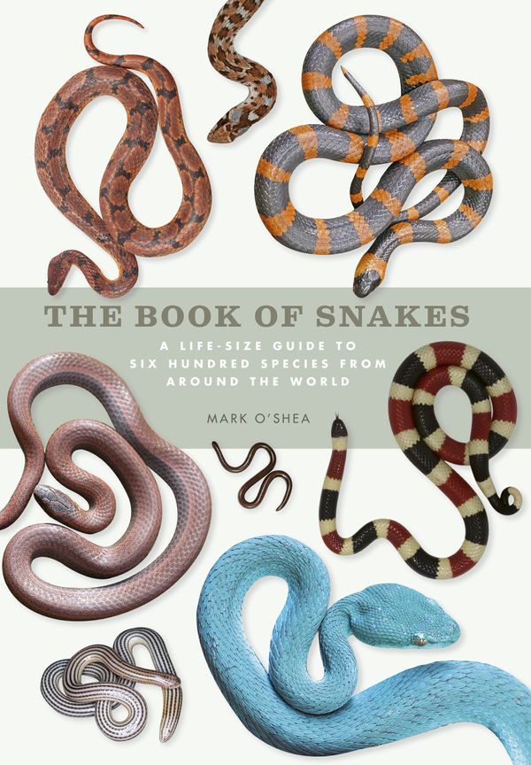 Cover Art for 9781782405597, The Book of Snakes: A life-size guide to six hundred species from around the world by Mark O'Shea