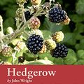Cover Art for 8601404214653, Hedgerow: River Cottage Handbook No.7 by John Wright