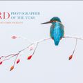 Cover Art for 9780008229313, Bird Photographer of the Year 2017 by Bird Photographer of the Year