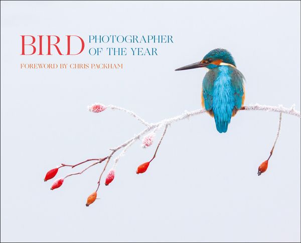 Cover Art for 9780008229313, Bird Photographer of the Year 2017 by Bird Photographer of the Year