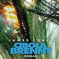Cover Art for 9783453318045, Cibola brennt by James Corey