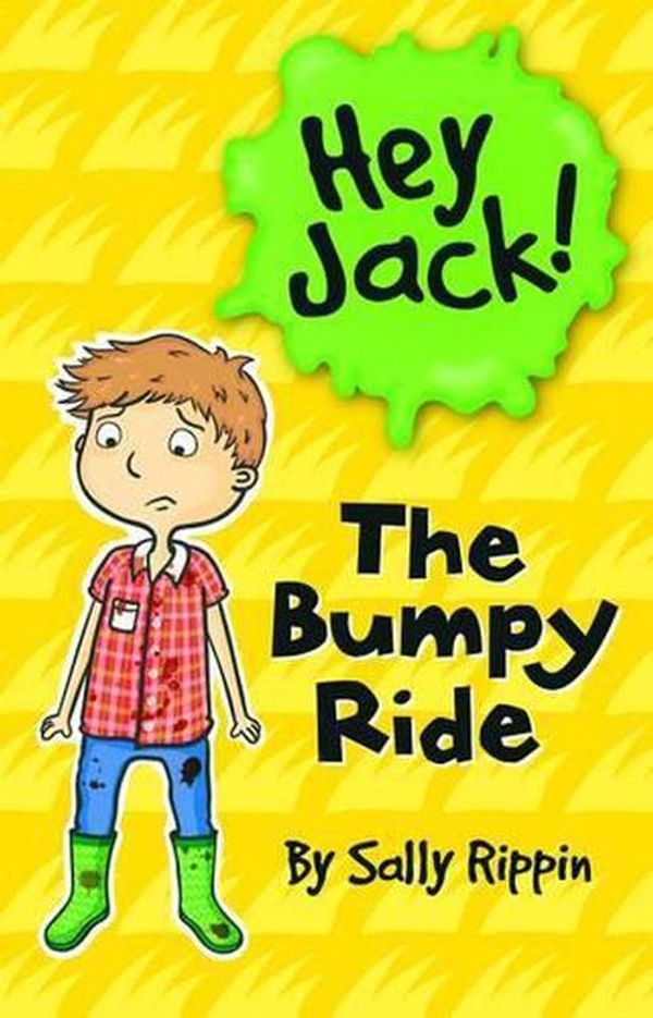 Cover Art for 9781610671873, The Bumpy Ride by Sally Rippin