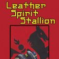 Cover Art for 9781613901090, Leather Spirit Stallion by Raven Kaldera
