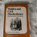Cover Art for 9780393096651, Walden by Henry David Thoreau
