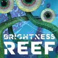 Cover Art for 9781504064736, Brightness Reef by David Brin