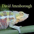 Cover Art for 9780691137186, Life in Cold Blood by David Attenborough