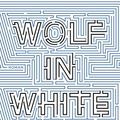 Cover Art for 9783847906049, Wolf in White Van by John Darnielle