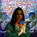 Cover Art for 9783899413601, Yelena und die Magierin des Südens by Maria V. Snyder