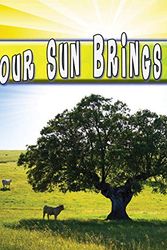 Cover Art for 9781617419256, Our Sun Brings Life (My Science Library) by Conrad J Storad