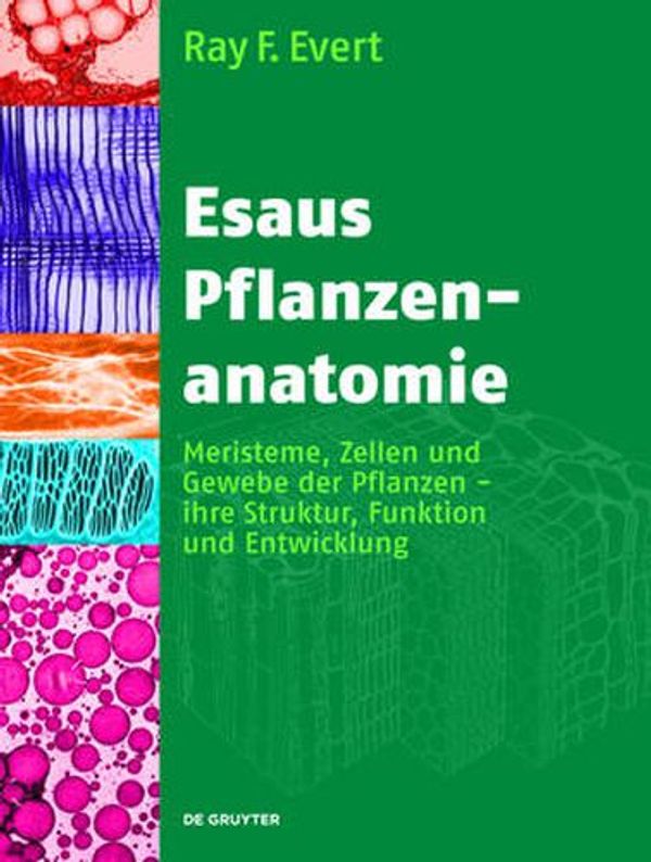 Cover Art for 9783110205923, Esaus Pflanzenanatomie/ Plant Anatomy: Meristeme, Zellen Und Gewebe Der Planzen- Ihre Struktur, Funktion Und Entwicklung (German Edition) by Ray F. Evert