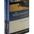 Cover Art for 9780801066481, The Minor Prophets by James Montgomery Boice