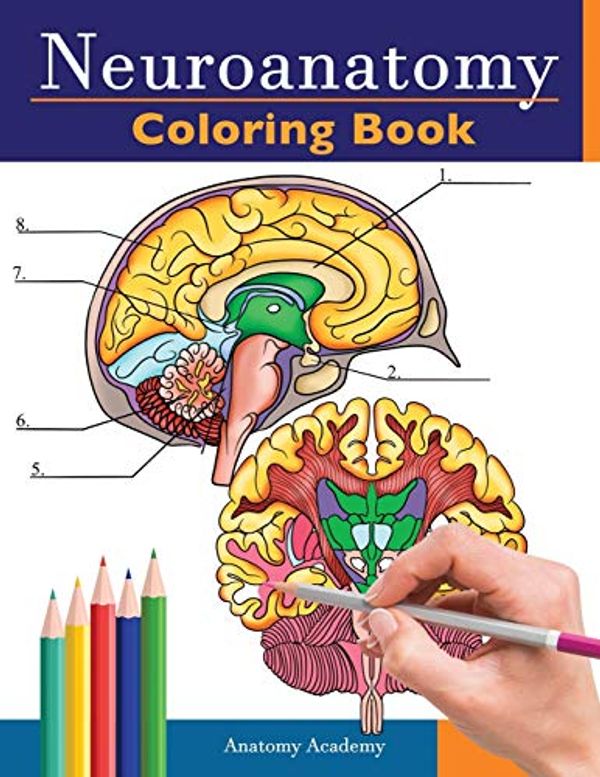 Cover Art for 9781838188610, Neuroanatomy Coloring Book: Incredibly Detailed Self-Test Human Brain Coloring Book for Neuroscience | Perfect Gift for Medical School Students, Nurses, Doctors and Adults by Anatomy Academy