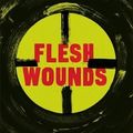 Cover Art for 9781408704080, Flesh Wounds by Chris Brookmyre