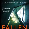 Cover Art for 9781409038634, Fallen by Karin Slaughter