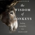 Cover Art for 9781553653059, Wisdom Of Donkeys by Andy Merrifield