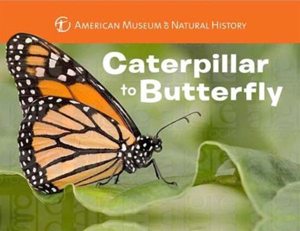 Cover Art for 9781454914068, Caterpillar to Butterfly by American Museum of Natural History