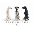 Cover Art for 9780470646441, Psychology by Robin M. Kowalski, Drew Westen