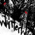 Cover Art for 9780747586937, Winterwood by Patrick McCabe