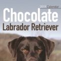Cover Art for 9781785805158, Chocolate Labrador Retriever Slim Calendar 2019 by Avonside Publishing Ltd