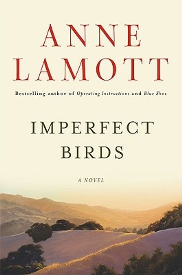 Cover Art for 9781594487514, Imperfect Birds by Anne Lamott