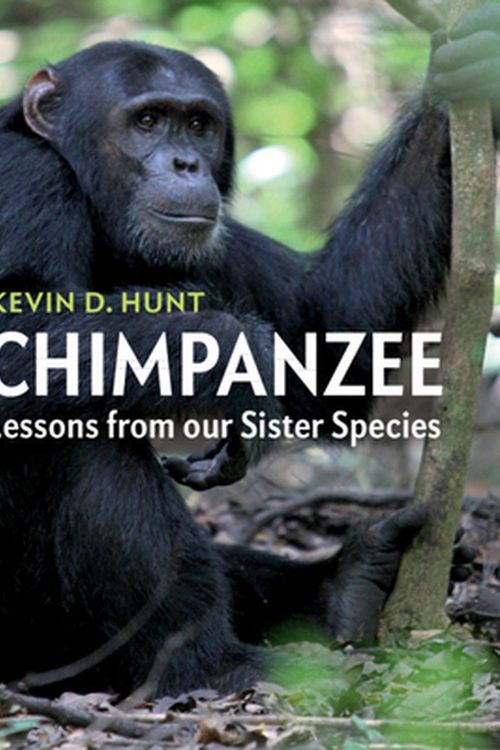 Cover Art for 9781107544413, Chimpanzee: Lessons from our Sister Species by Kevin D. Hunt