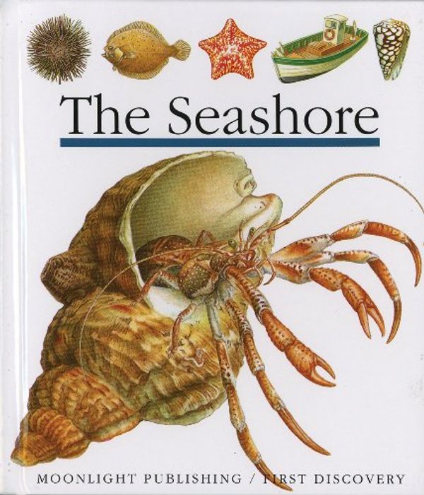 Cover Art for 9781851031313, The Seashore (First Discovery Series) by De Hugo, Pierre