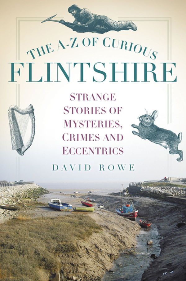Cover Art for 9780750964395, The A-Z of Curious Flintshire by David Rowe