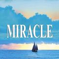 Cover Art for 9780385336338, Miracle by Danielle Steel