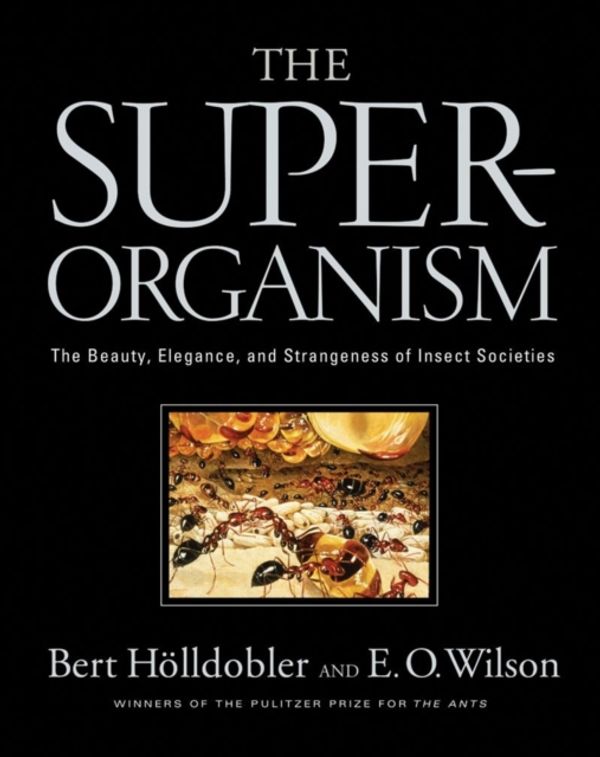 Cover Art for 9780393067040, The Superorganism: The Beauty, Elegance, and Strangeness of Insect Societies by Hölldobler, Bert, Edward O. Wilson